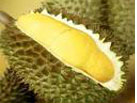durián