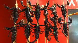 escorpionesfritos