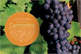 CARMENERE