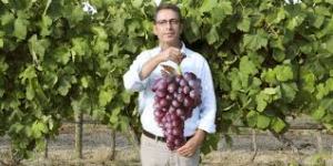 Jean Michel Boursiquot