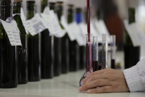 Laboratorio 1